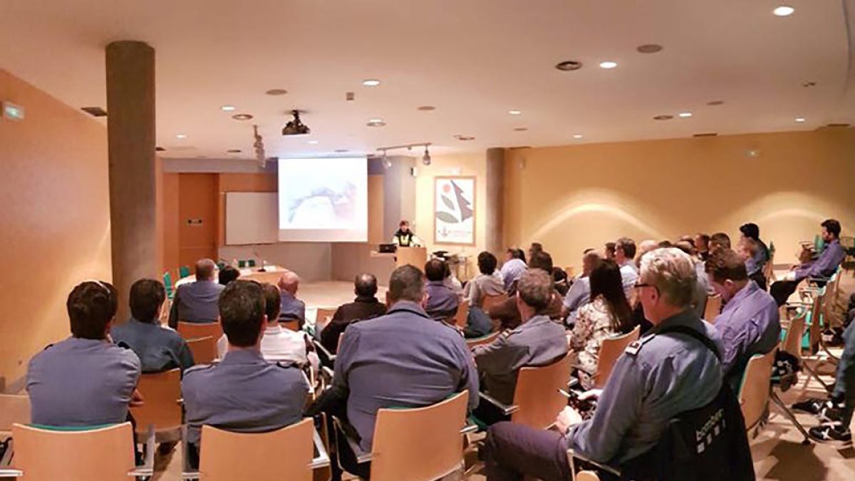 Imagen de la jornada de ayer.