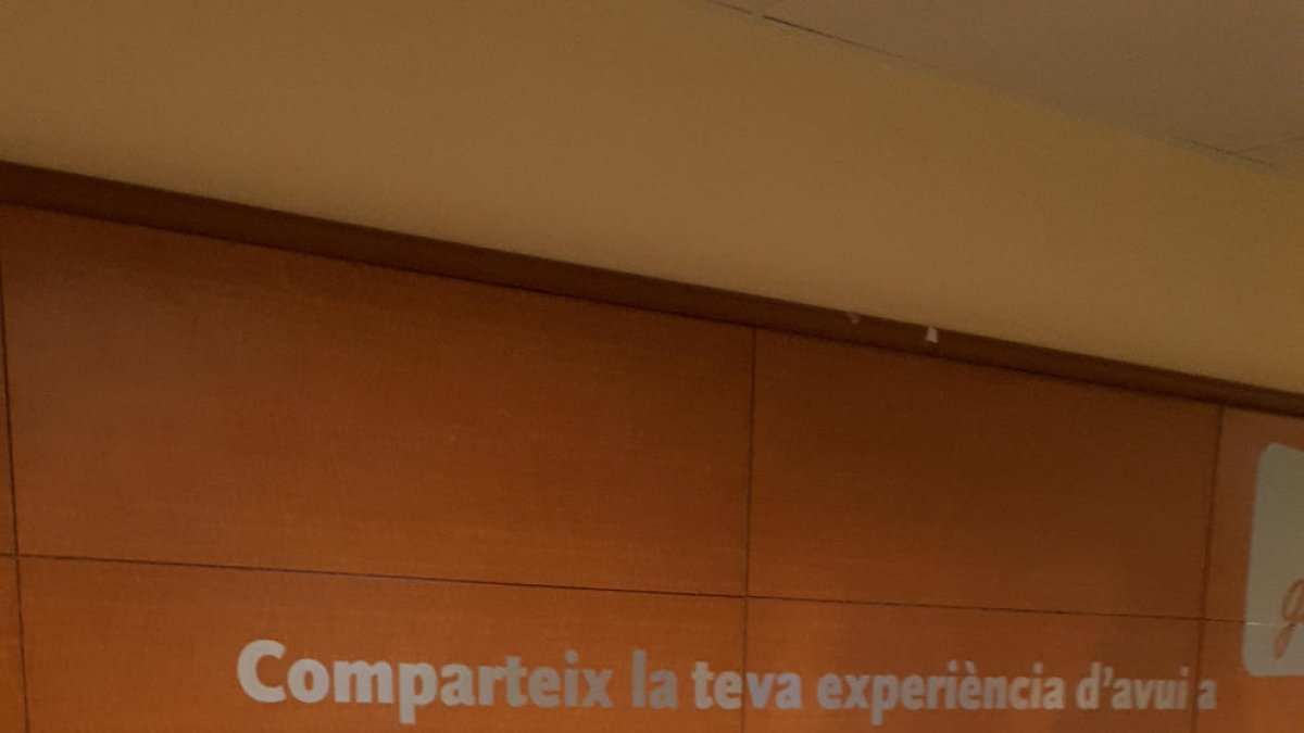 Un moment d’una donació de sang a l’hospital Arnau de Vilanova de Lleida.