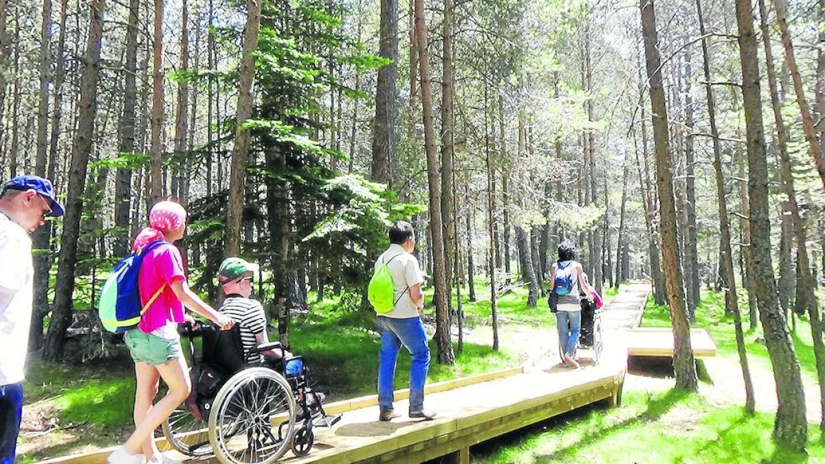 La passarel·la del Parc Natural de l’Alt Pirineu.