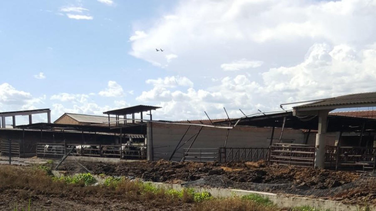 La granja, que acumula un gran nombre de purins.