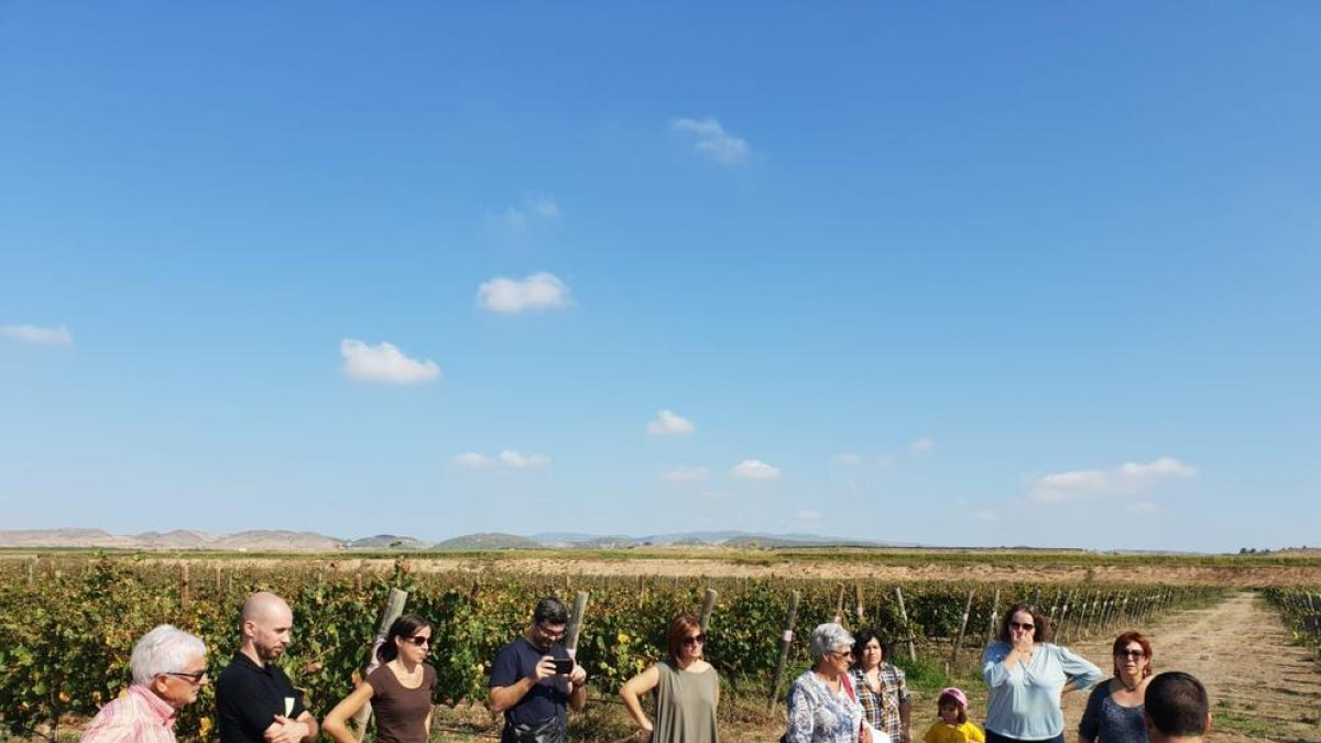 Participantes el sábado en la primera de las tres vendimias.