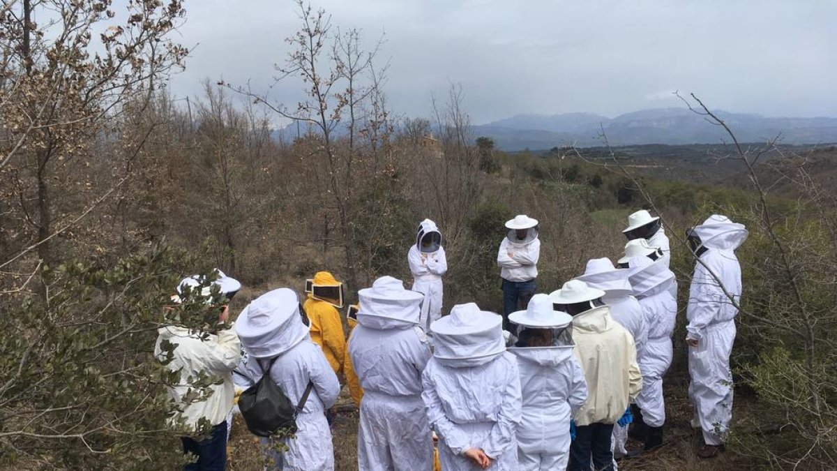 Riner acoge las jornadas técnicas sobre la miel