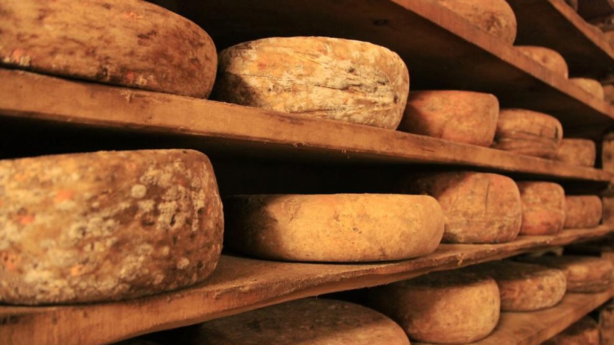 Productors de formatges retiren lots després d'un cas de meningitis per bacteri