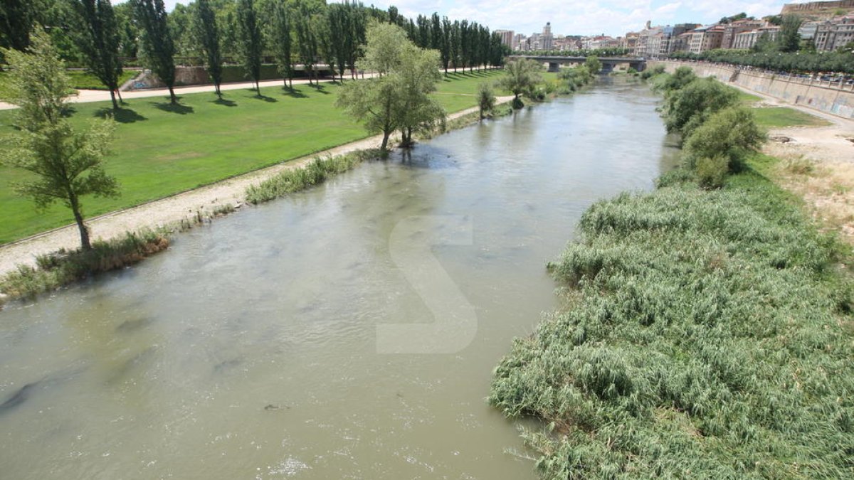 Pla amb 46 propostes per millorar la canalització del riu  a Lleida