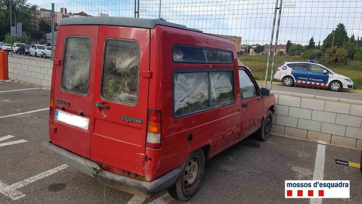 La furgoneta cargada con plantas de marihuana.