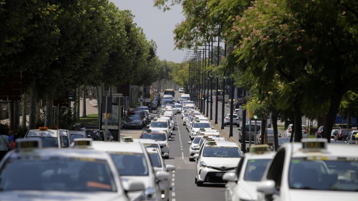 Taxistes lleidatans van fer una marxa lenta el 31 de juliol en motiu de la vaga de Barcelona.