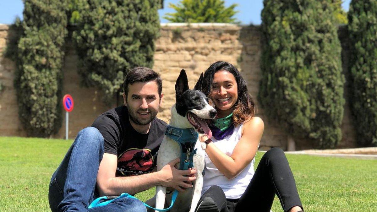 Els viatges del Lulo i els seus amos