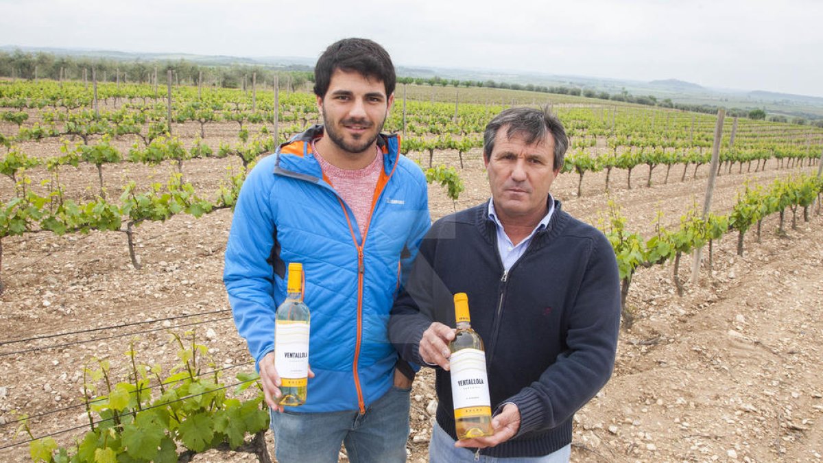 Premio para dos vinos del valle del Corb