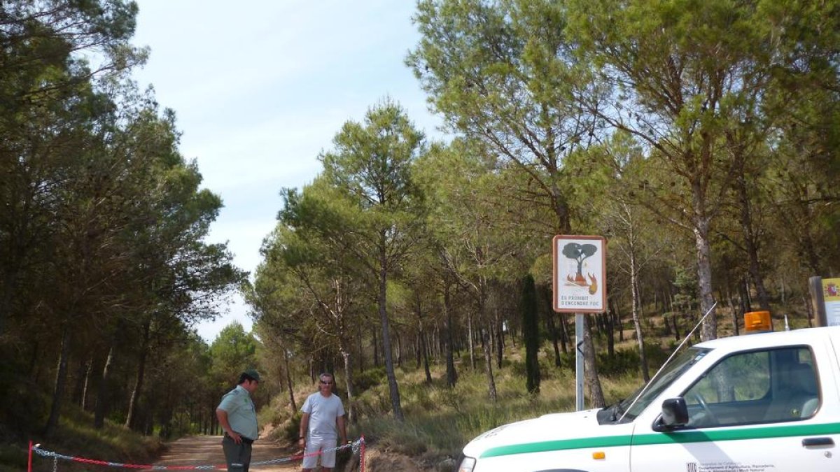 L'explotació de la fusta dels boscos públics genera 2,6 milions i 900 llocs de treball