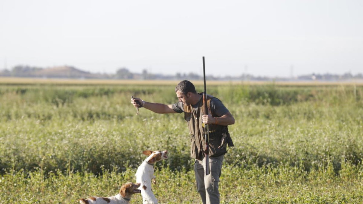 Un caçador i els seus gossos durant la primera jornada de la mitja veda a Lleida el 15 d’agost passat.