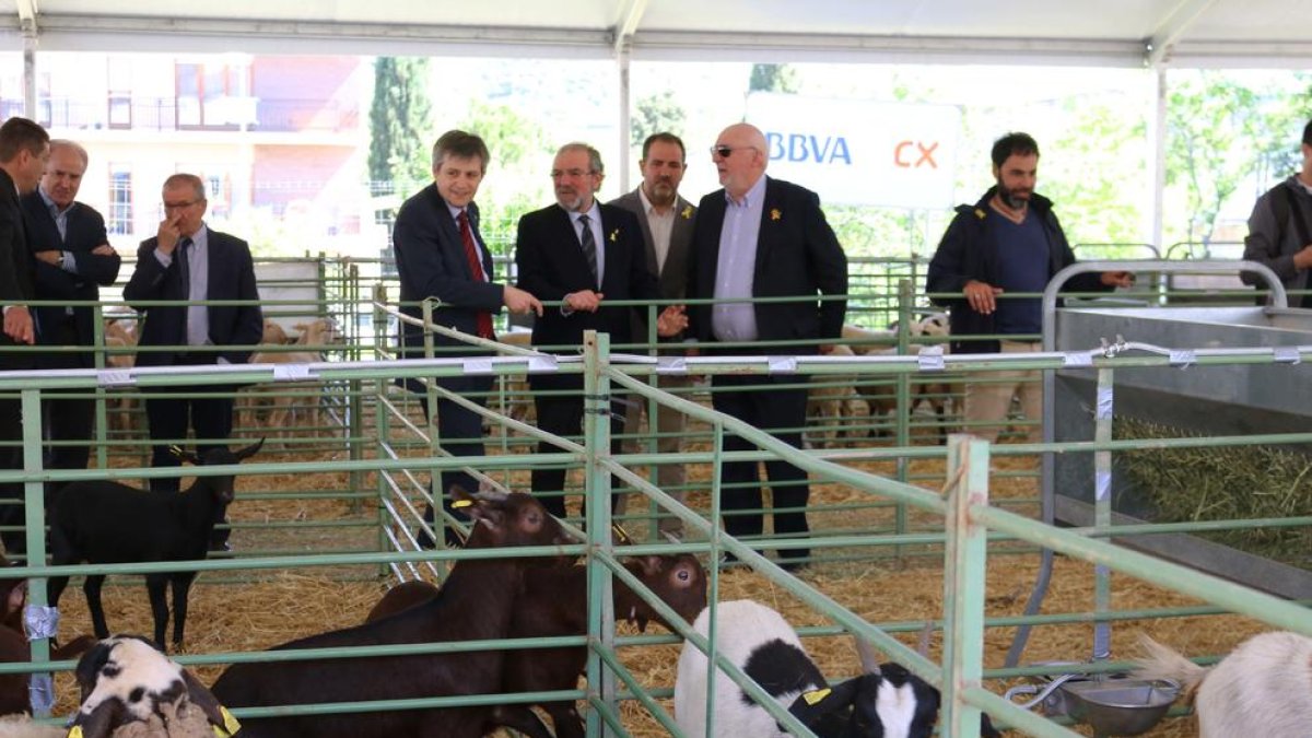 Les autoritats al passeig pel recinte ramader de la fira.