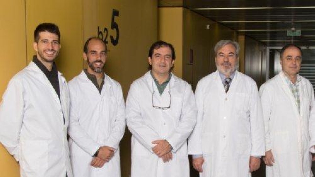 El Grup de la UdL i l'IRBLleida de Neurocognició, Psicobiologia de la Personalitat i Genètica de la Conducta ha portat a terme la investigació