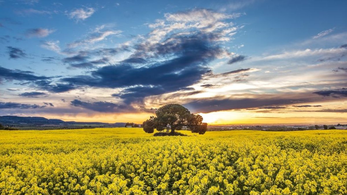 Una primavera passada per aigua