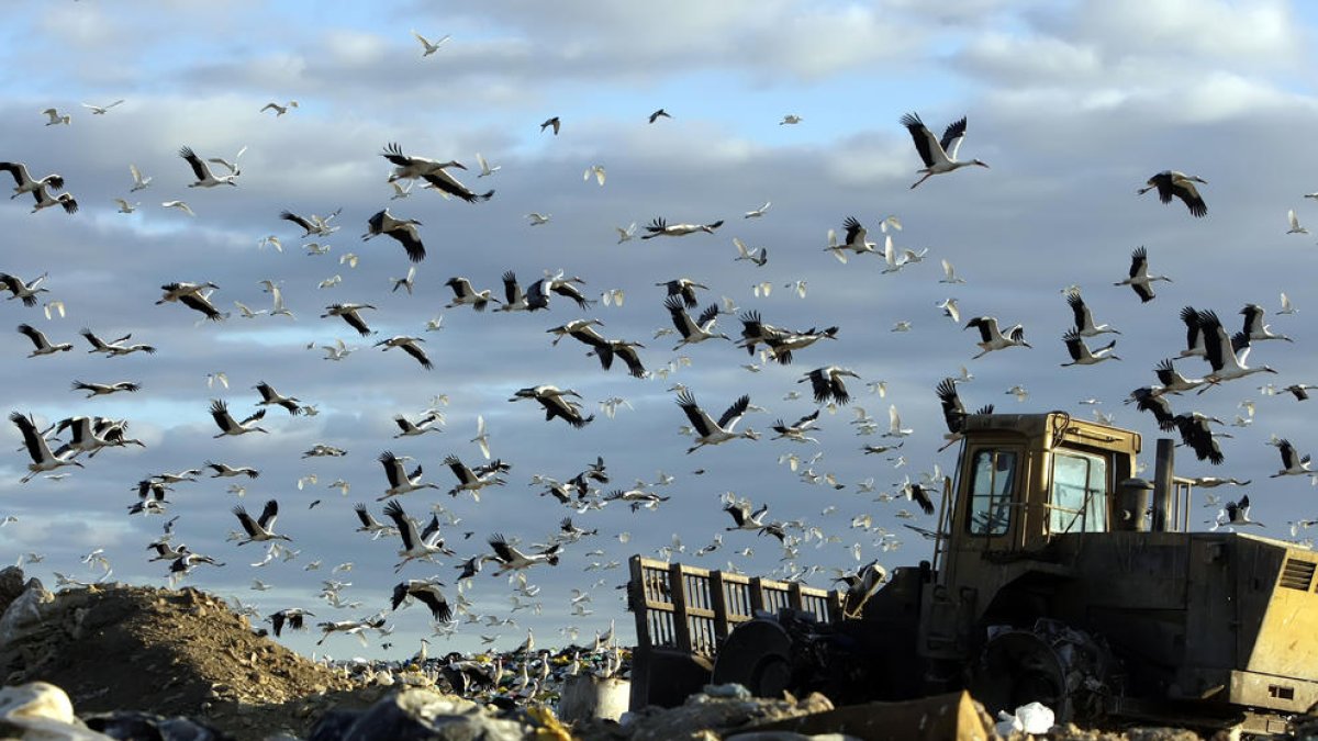 Imagen de archivo del vertedero en Montoliu de Lleida.
