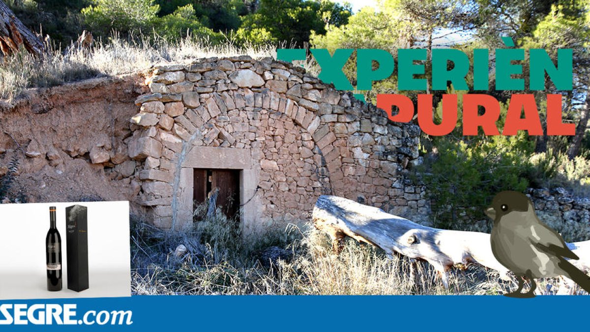 Experiència Rural 17