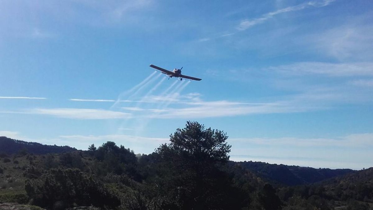 El tractament aeri s’aplica en boscos amb processionària.