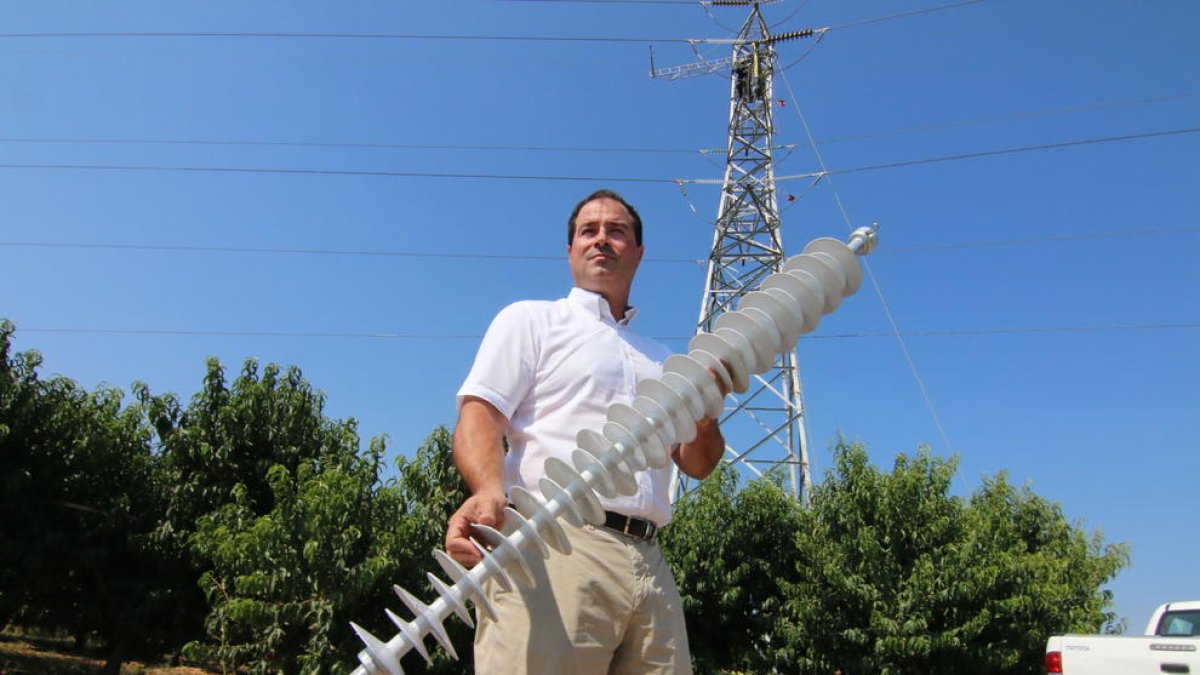 Operarios de Endesa cambiando ayer los aislantes de una torre en Almenar.