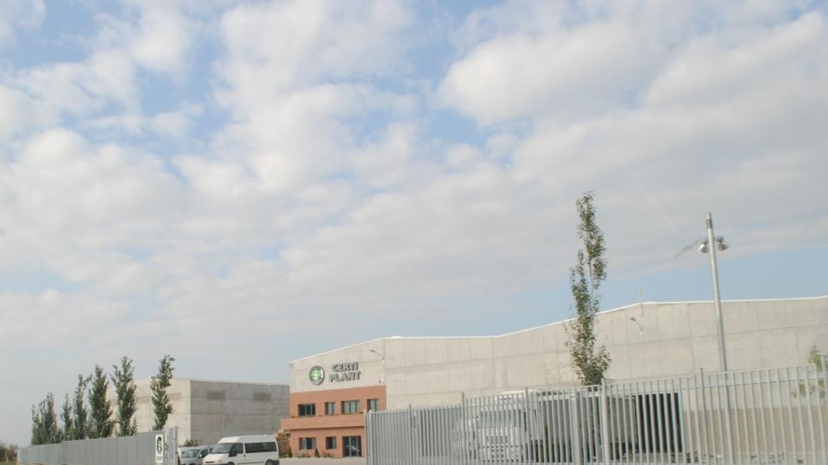 Imatge d’arxiu de Certiplant al Palau d’Anglesola.