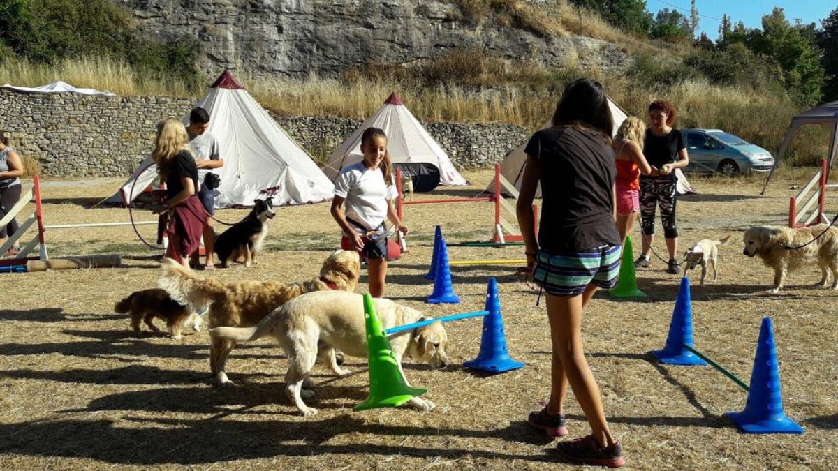 Nens realitzant una de les activitats programades amb els gossos.