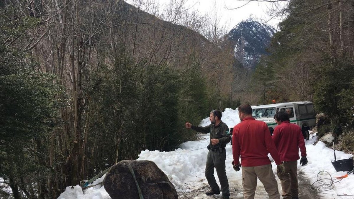 Rurals al costat de la roca despresa a l’accés al parc.