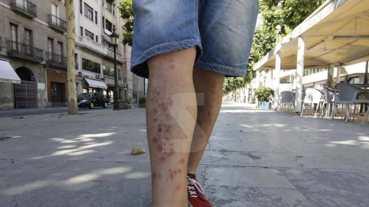 Com actuar davant dels petits 