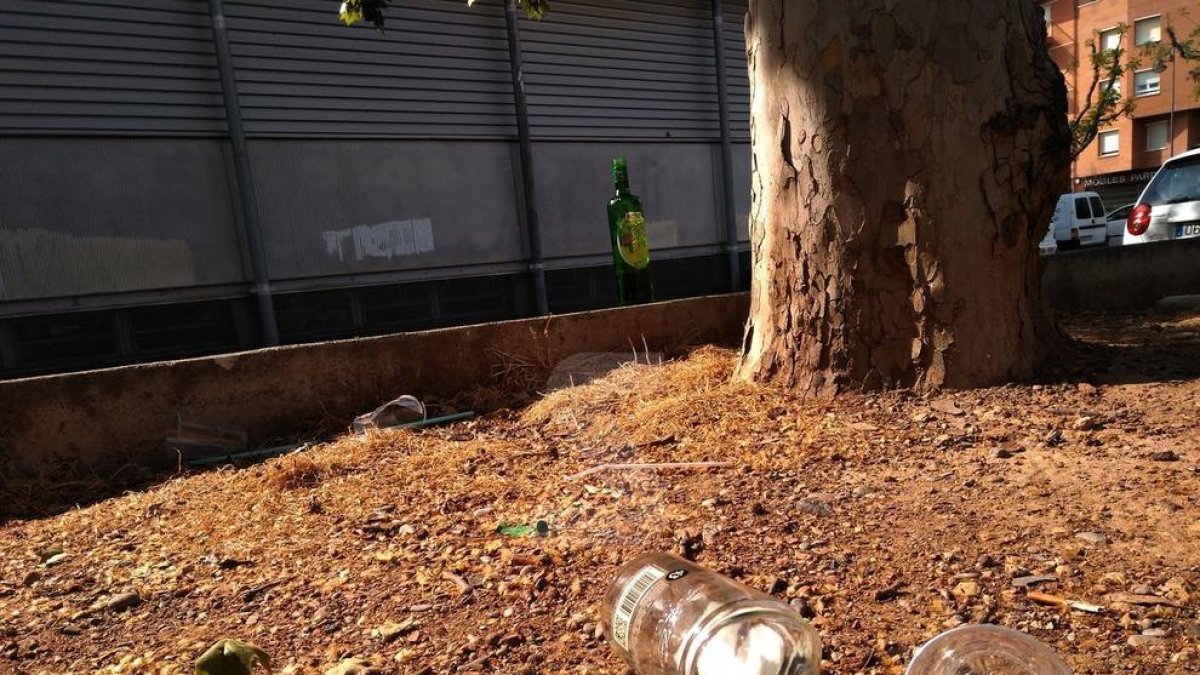 L'alcohol segueix encapçalant la demanda de tractament per drogodependència a Catalunya