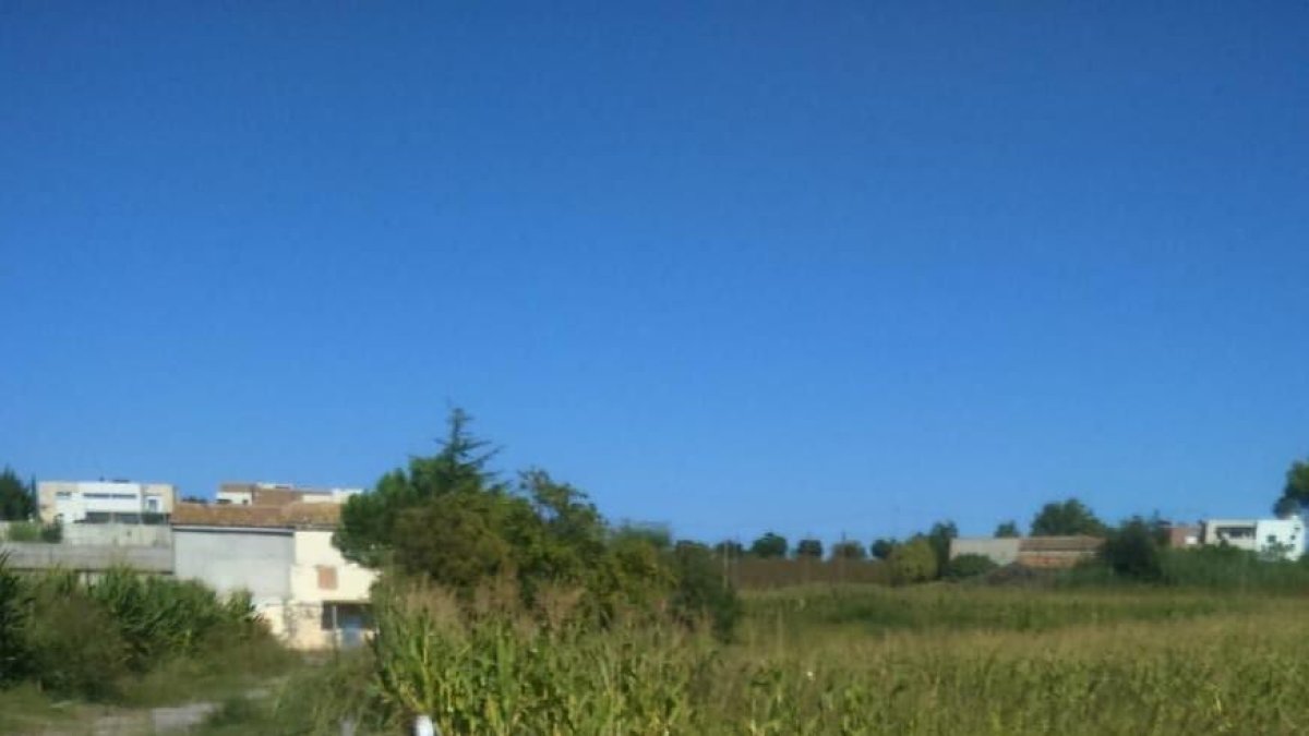 Escombraries fora dels contenidors a la partida de Vallcalent.