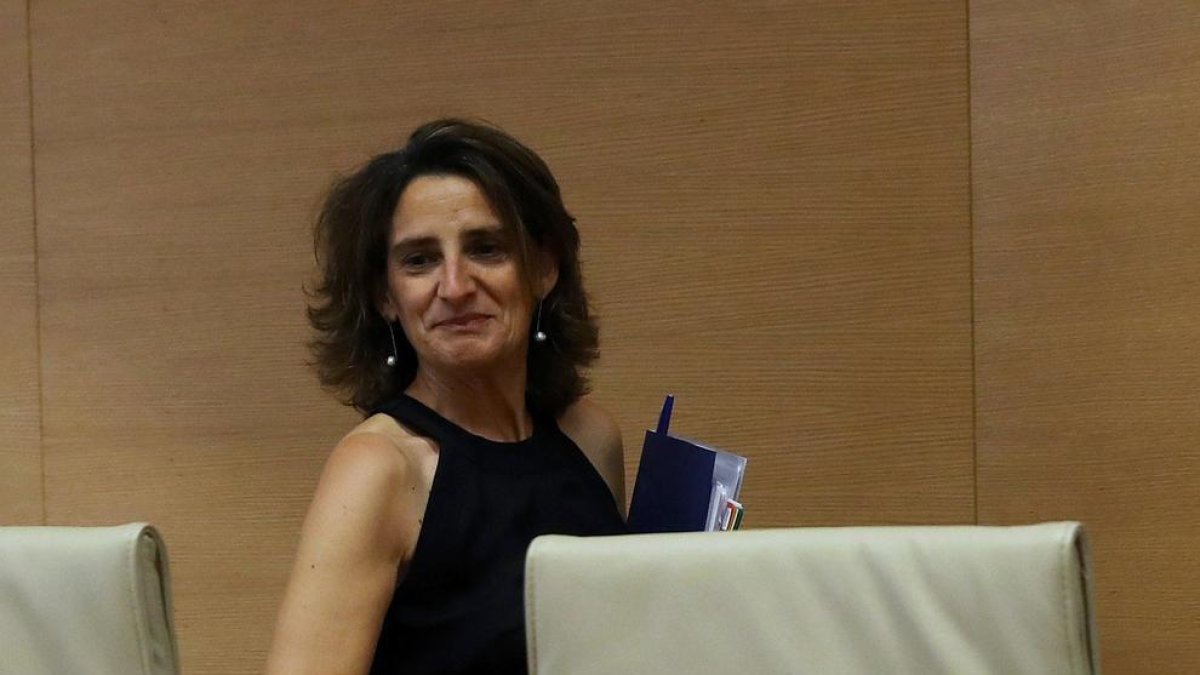 La ministra, ayer a su llegada a la comisión del Congreso.