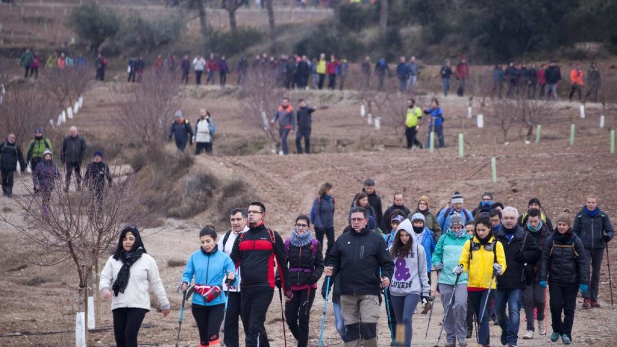 La quarta Marxa de la Boira, celebrada ahir al matí a Tàrrega i voltants, va comptar amb una inscripció de 800 participants en dos circuits a elegir de 10 i 24 km.