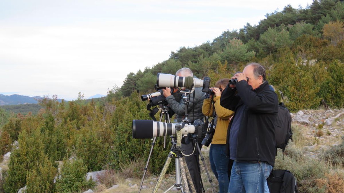 Primeros turistas en Boumort para observar y oír la berrea del ciervo.