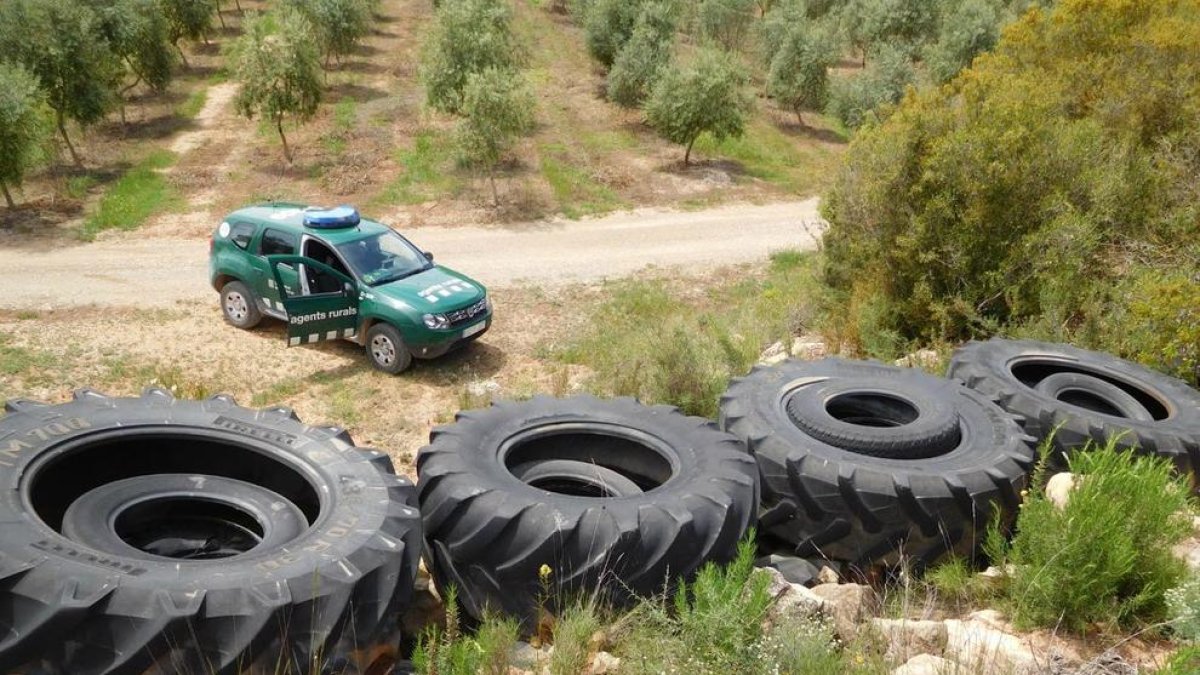 Foto de los neumáticos.