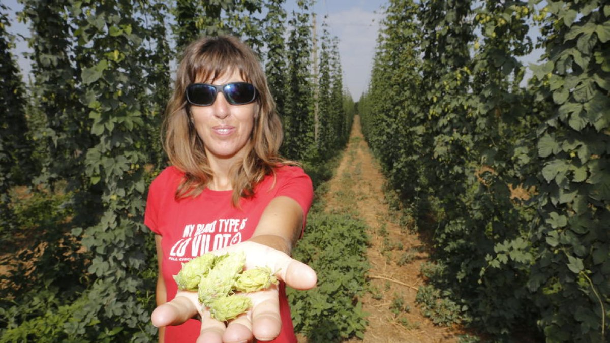 Cultivar el aroma de la cerveza