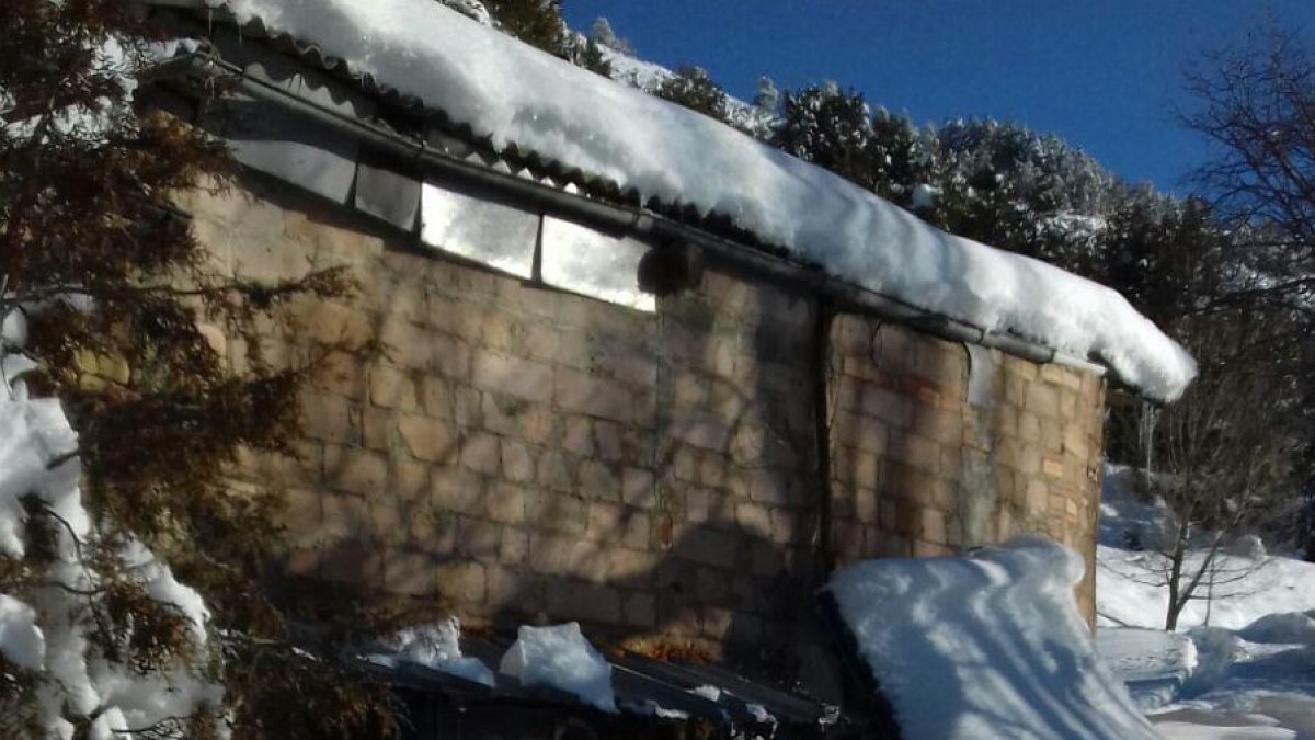 Una yegua y un burro catalán en la masía aislada desde hace más de una semana en La Coma i la Pedra.