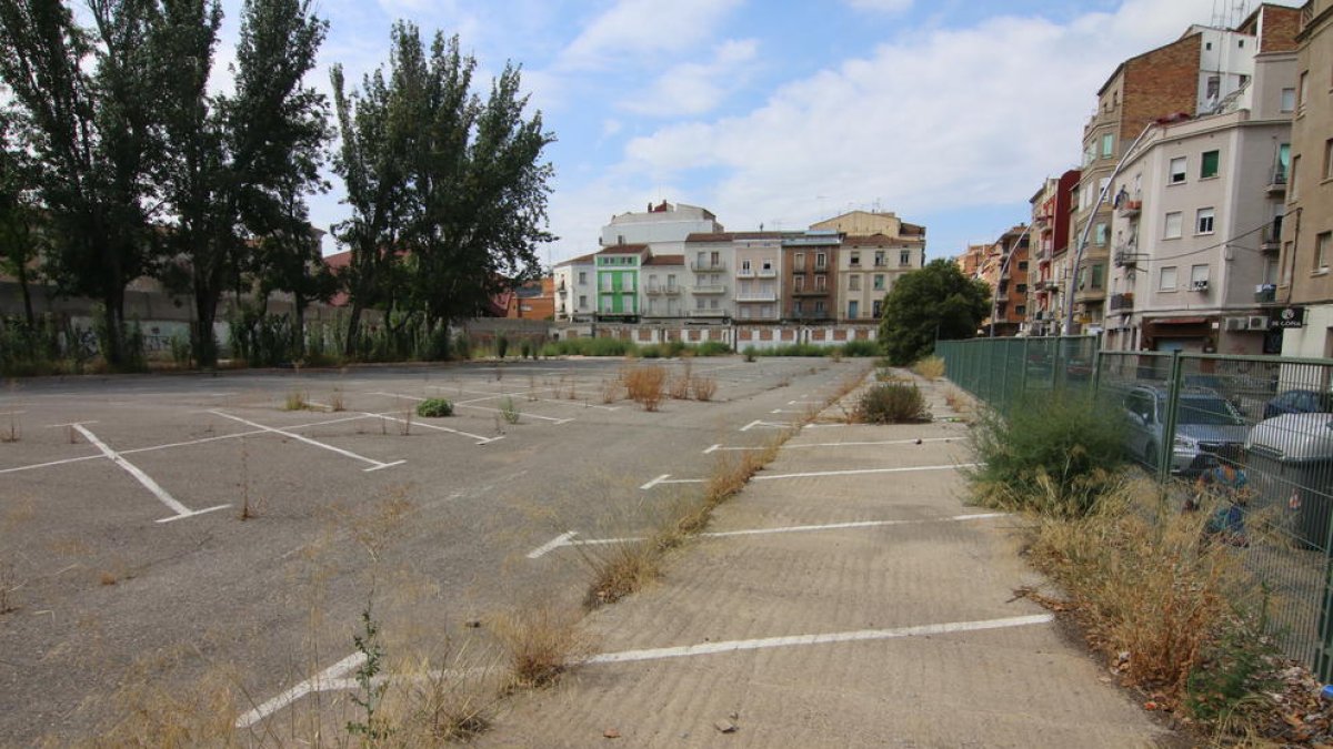 Las malas hierbas y nuevos brotes de árboles bajo los ya existentes proliferan en el solar.