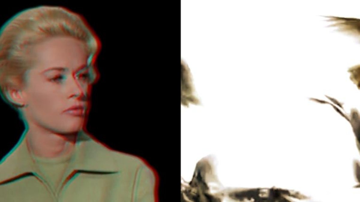 Una imagen de Tippi Hedren en ‘Los pájaros’ abre esta obra de videoarte del leridano Albert Bayona.
