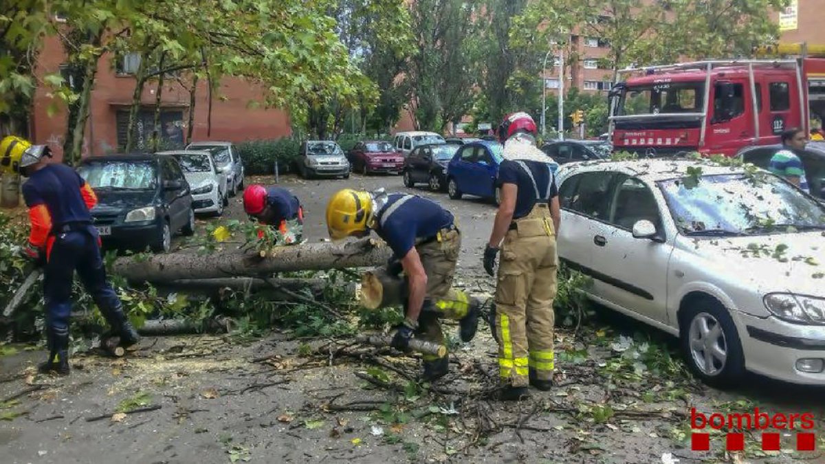 Imatge dels bombers manipulant una branca caiguda sobre uns vehicles a Sabadell.