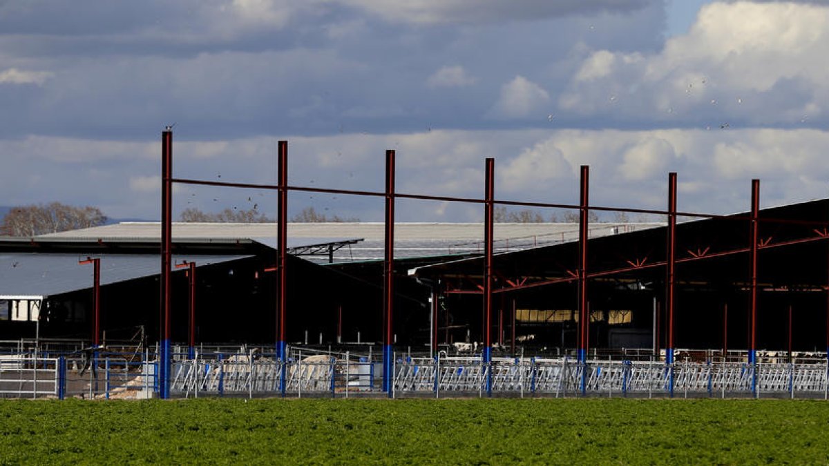 En el centro de la imagen se pueden apreciar las placas solares instaladas en uno de los tejados de la granja.
