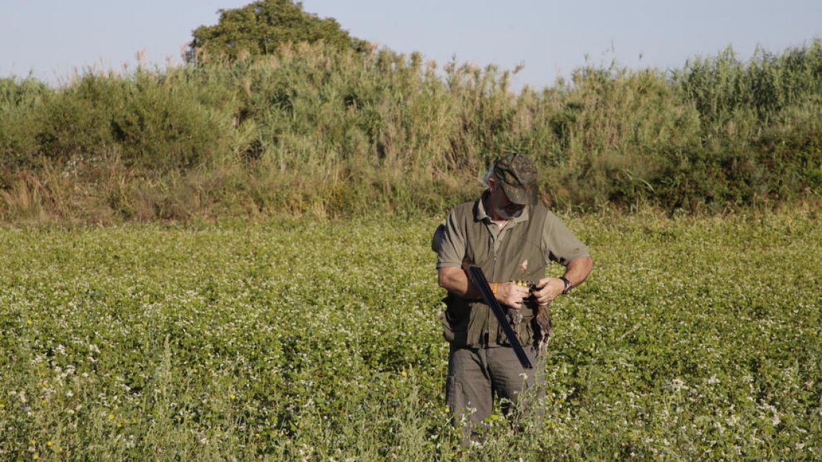 Un cazador esta semana al inicio de la media veda en Lleida.