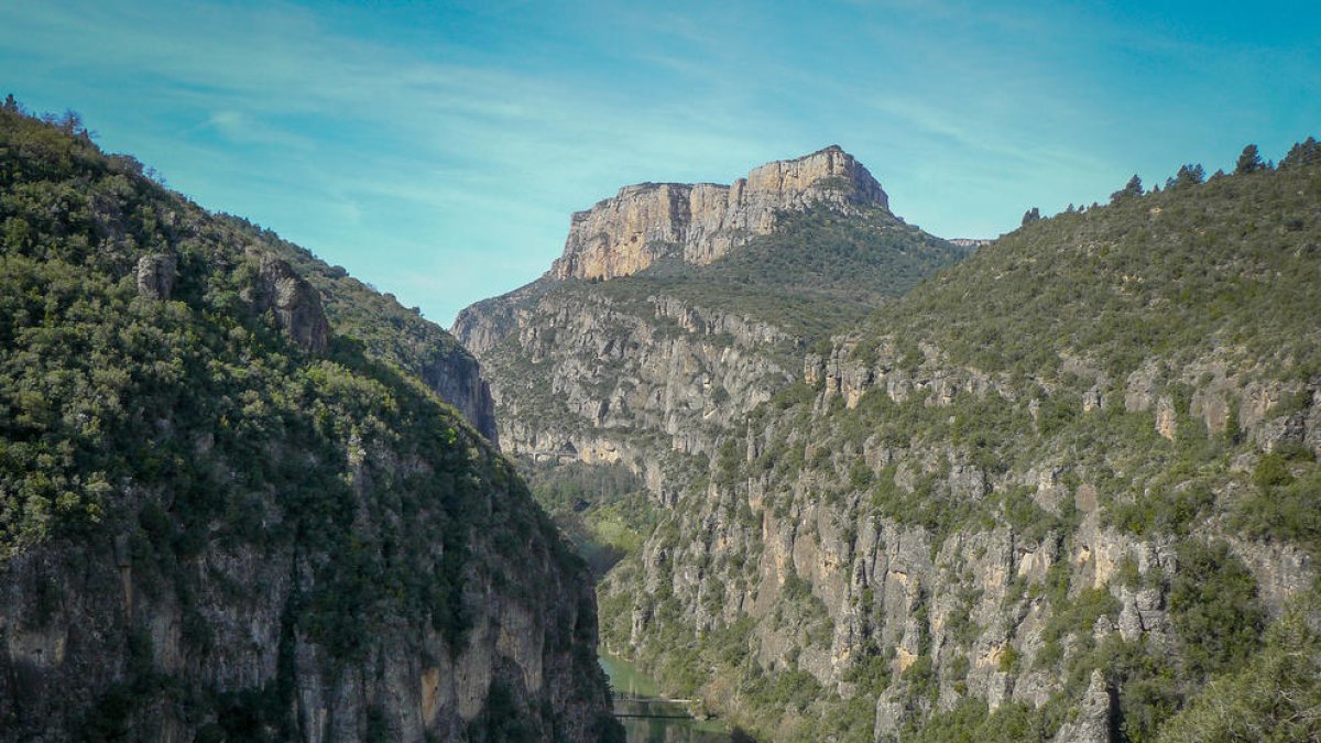 dades pràctiques