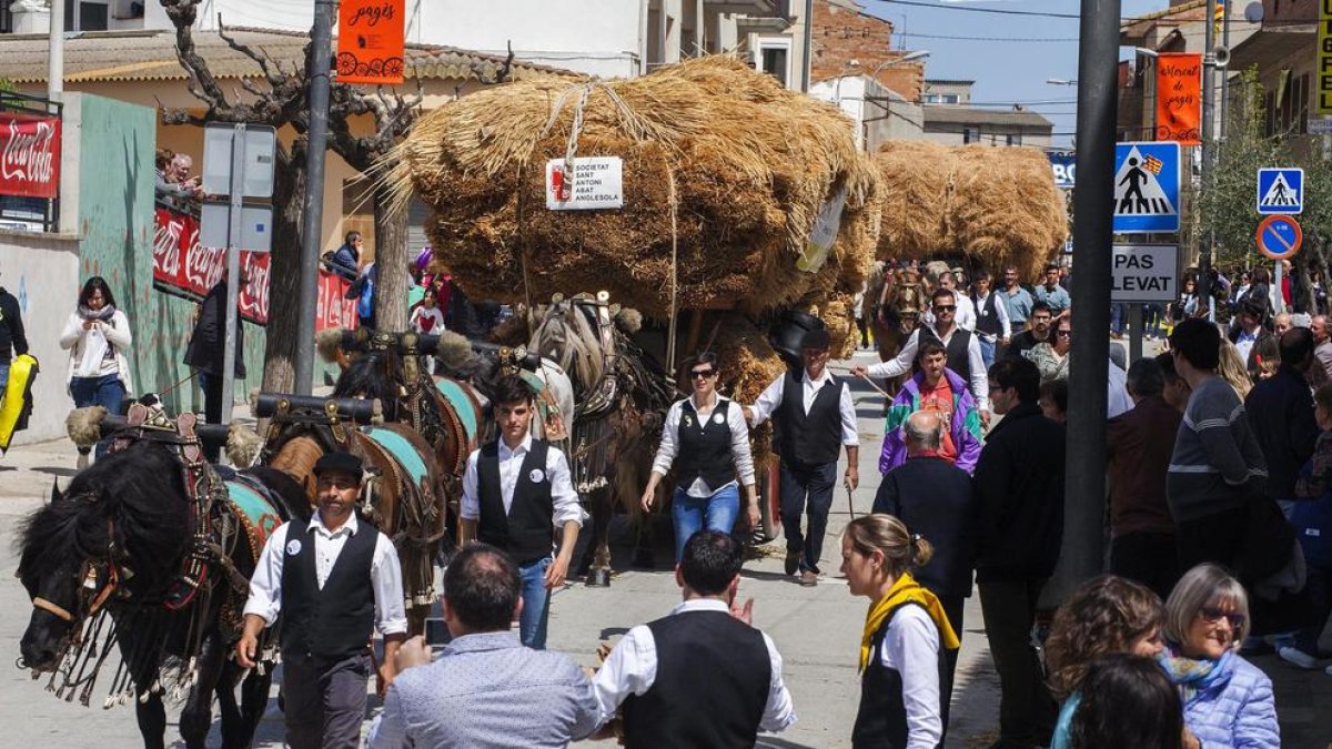 El carro Garber d’Anglesola va ser un dels principals atractius. Estirat per cinc cavalls i carregat de gavelles de sègol, és el més gran de Catalunya.