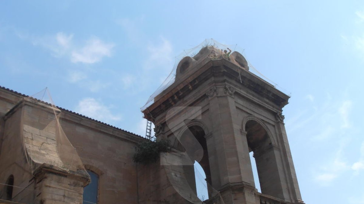 La Paeria repara les xarxes de protecció de les cobertes de les torres de la Catedral