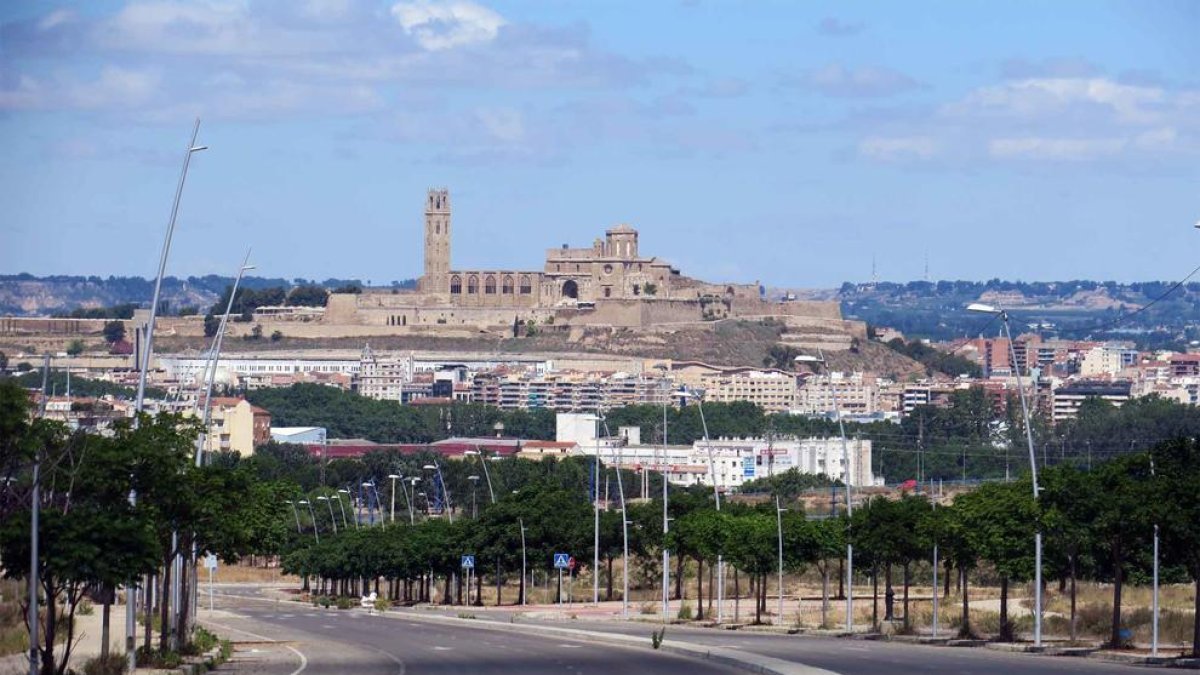 Imagen del vial de acceso actual a la zona de Torre Salses.