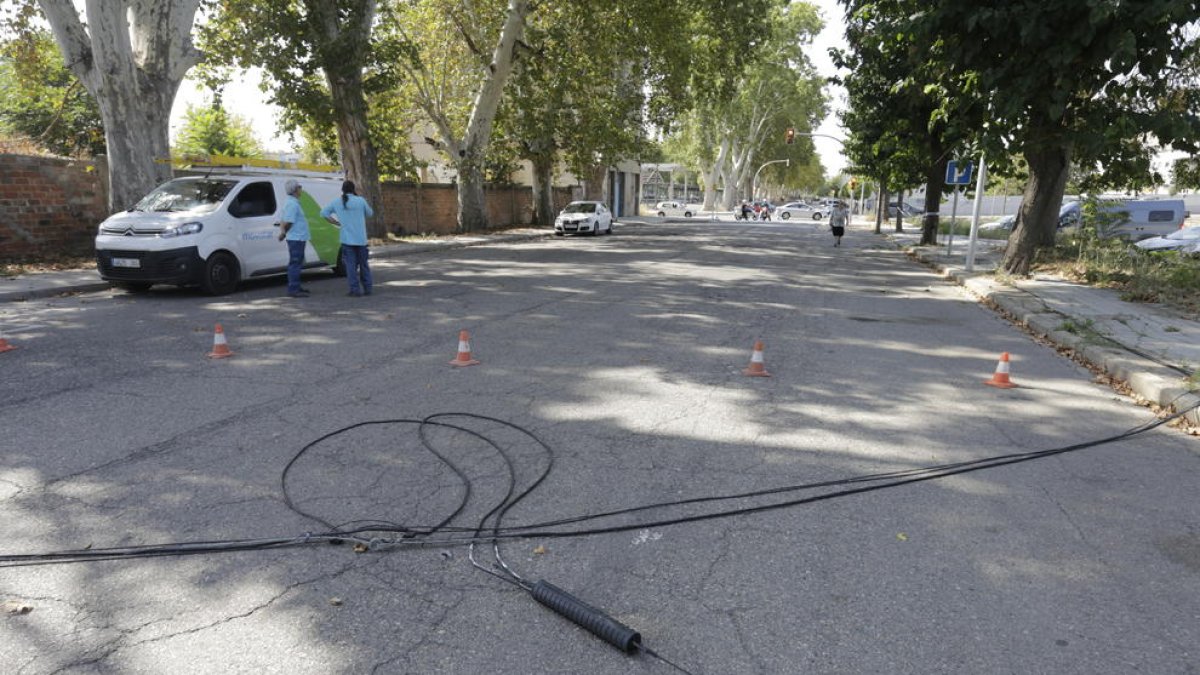 Operaris es van fer càrrec de la retirada dels cables.