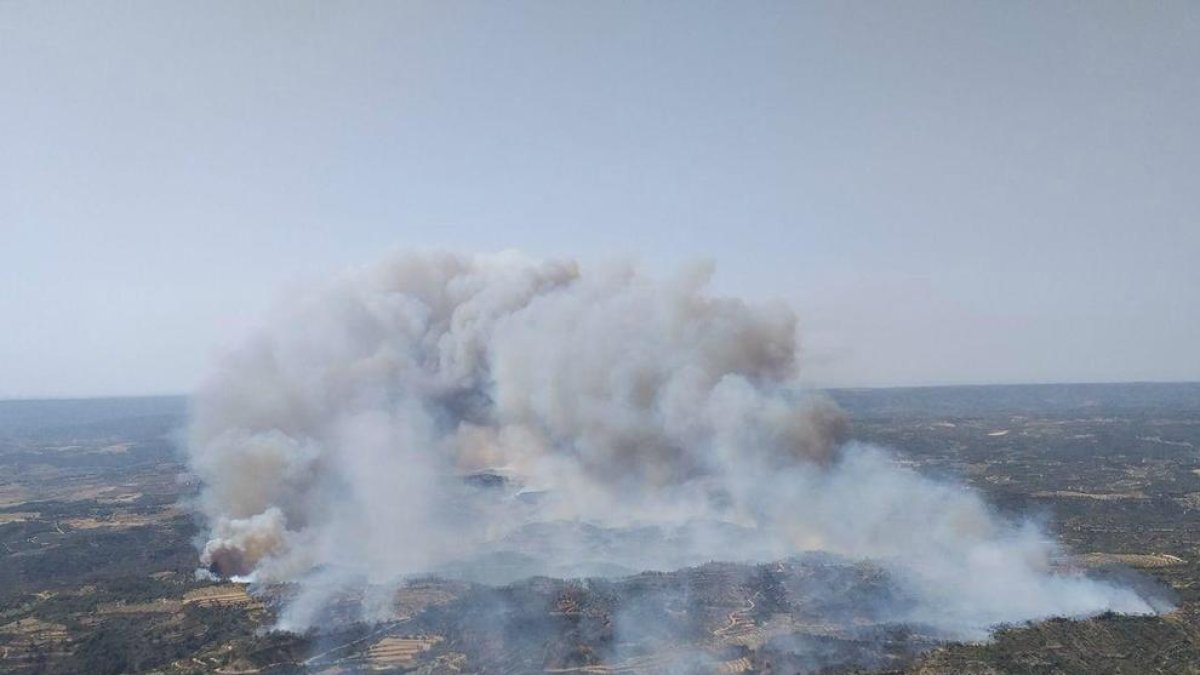 Evacuades masies de Bovera, Flix, Maials i Llardecans per un gran incendi