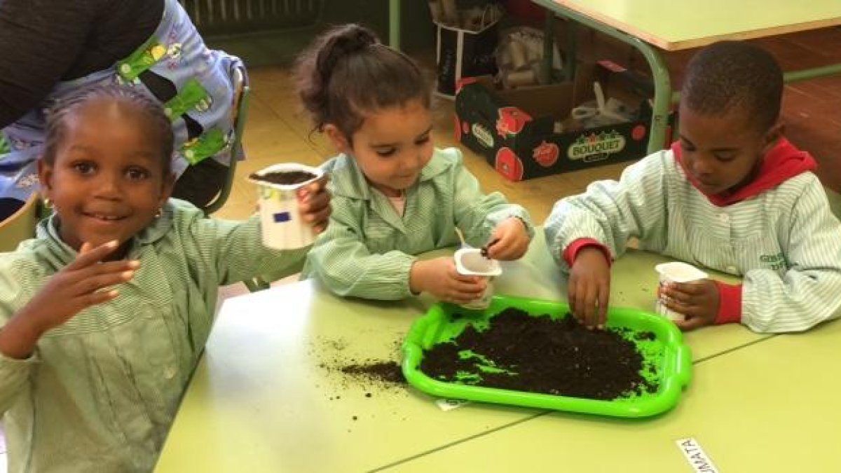 Alumnos de P-4 del colegio Balàfia, preparando una plantación hace dos semanas.