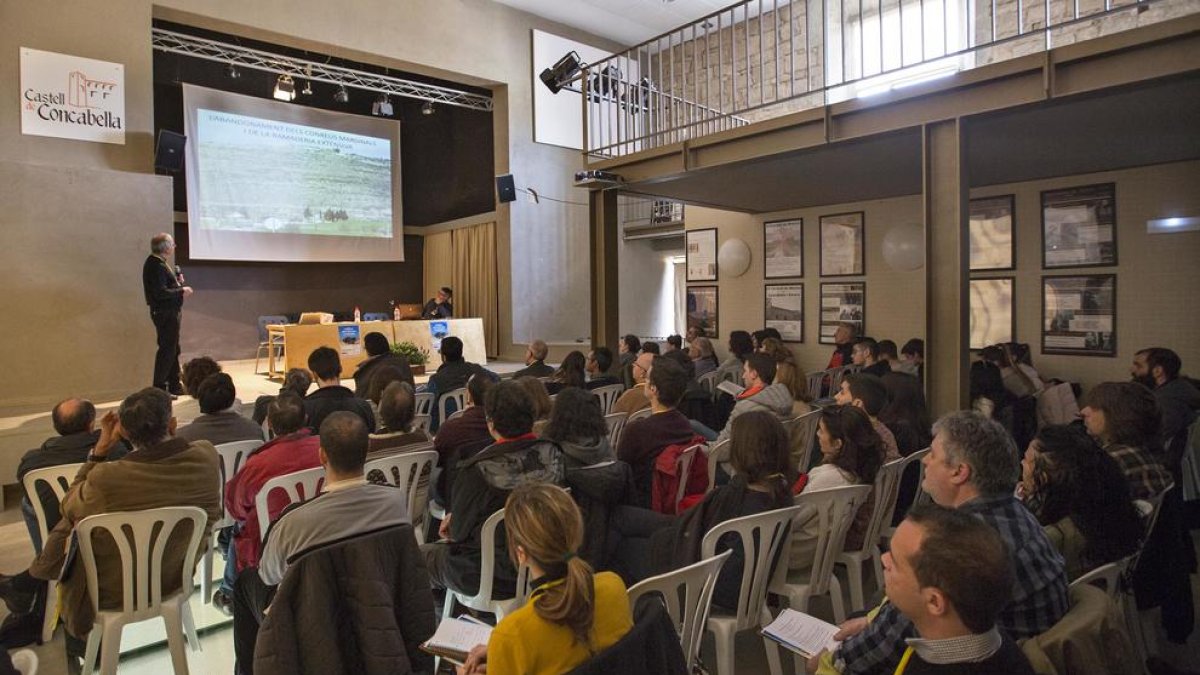 El castell de Concabella va ser ahir l’escenari de les jornades.