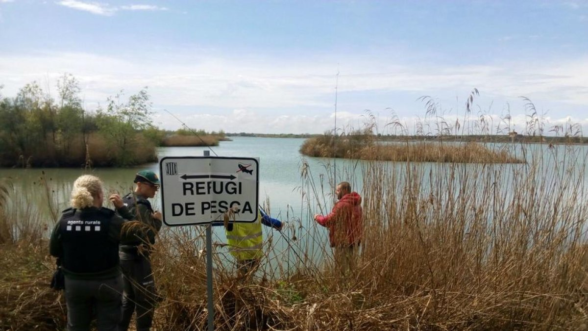 Actuació a l’estany d’Ivars d’Urgell i Vila-sana.