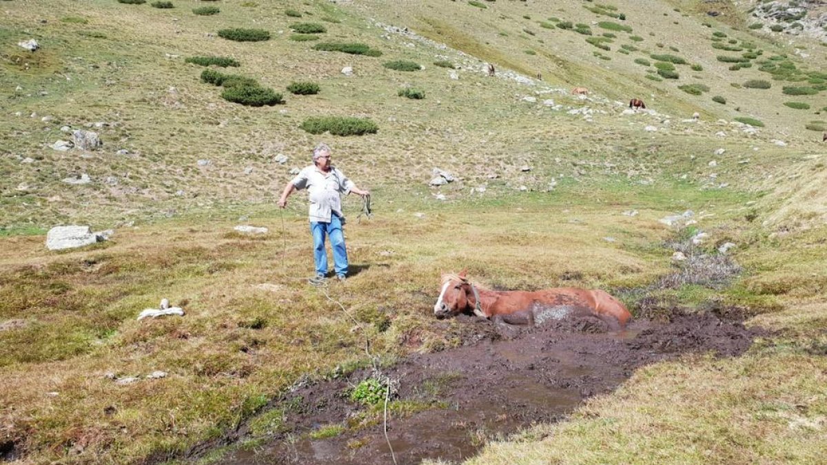 Rescaten una euga al Pallars Jussà