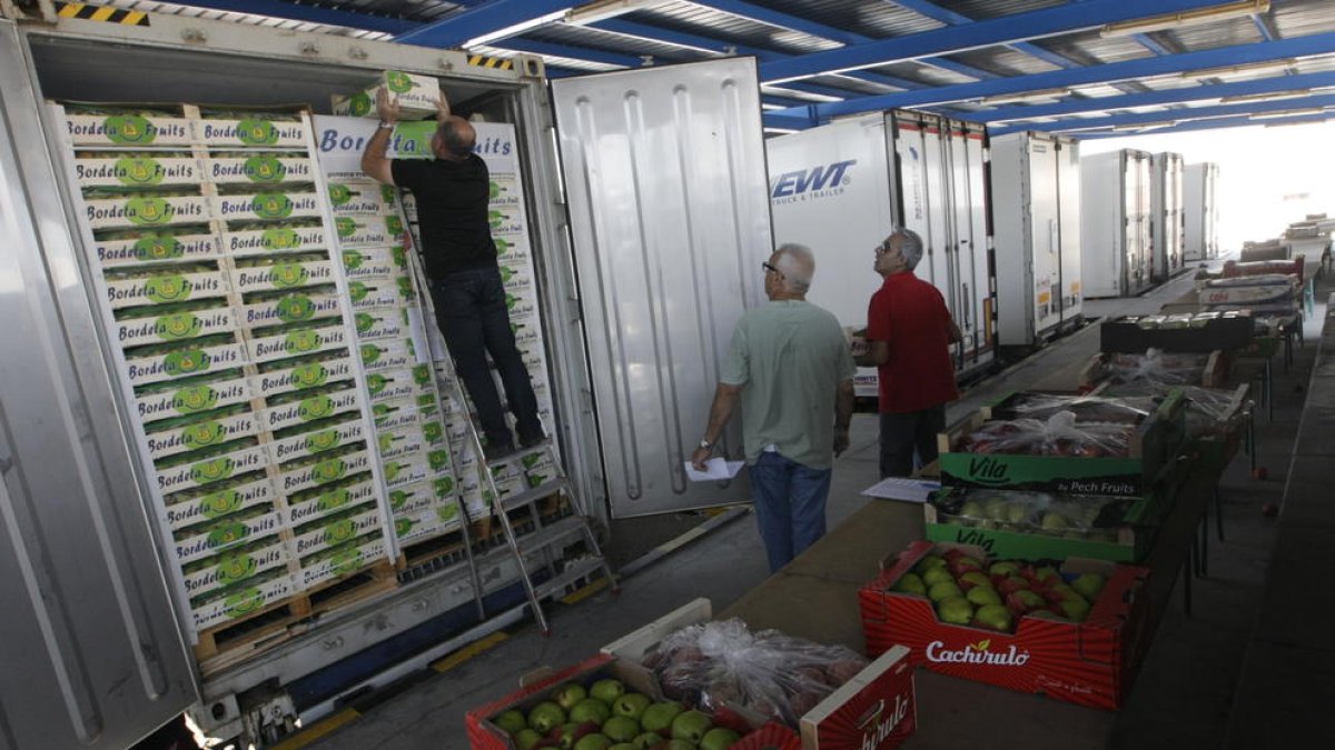 Camiones de fruta para exportar en Edullesa.