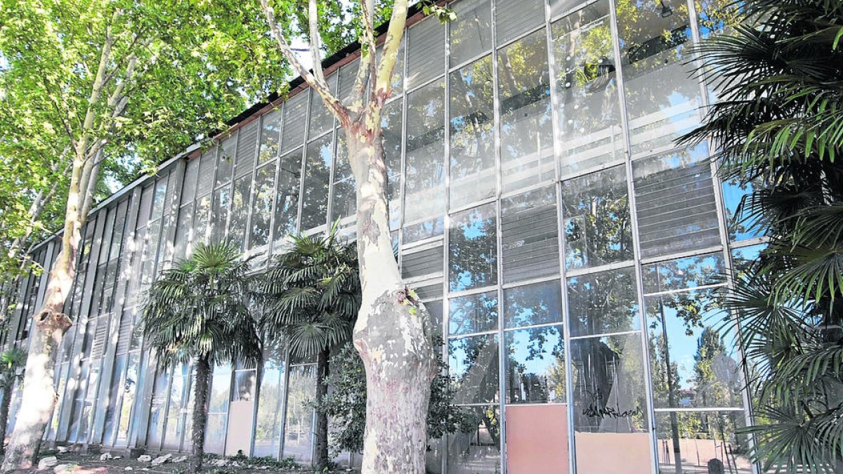 Imatge d'arxiu del Palau de Vidre dels Camps Elisis de Lleida.